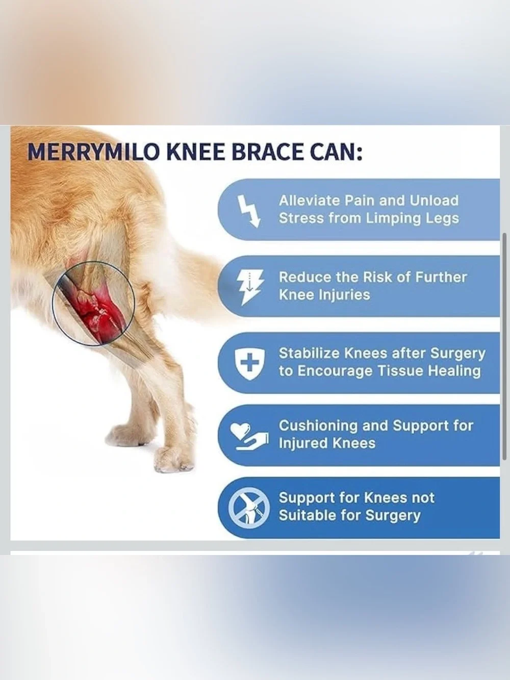 merrymilo stabilizes knee
